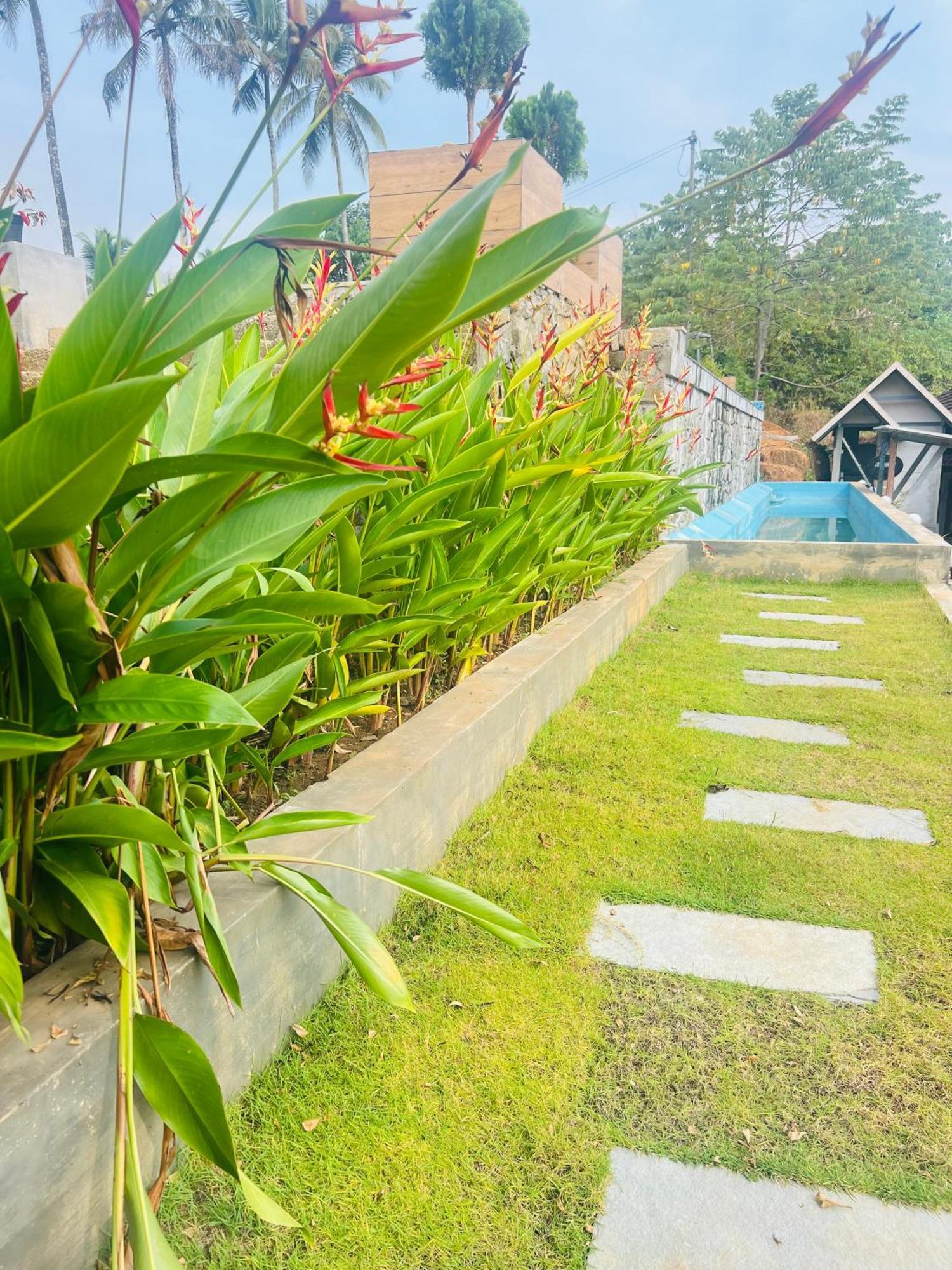 Coconut Valley Neriyamangalam Ngoại thất bức ảnh